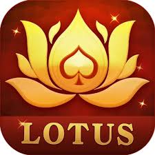 teen patti vungo real cash download